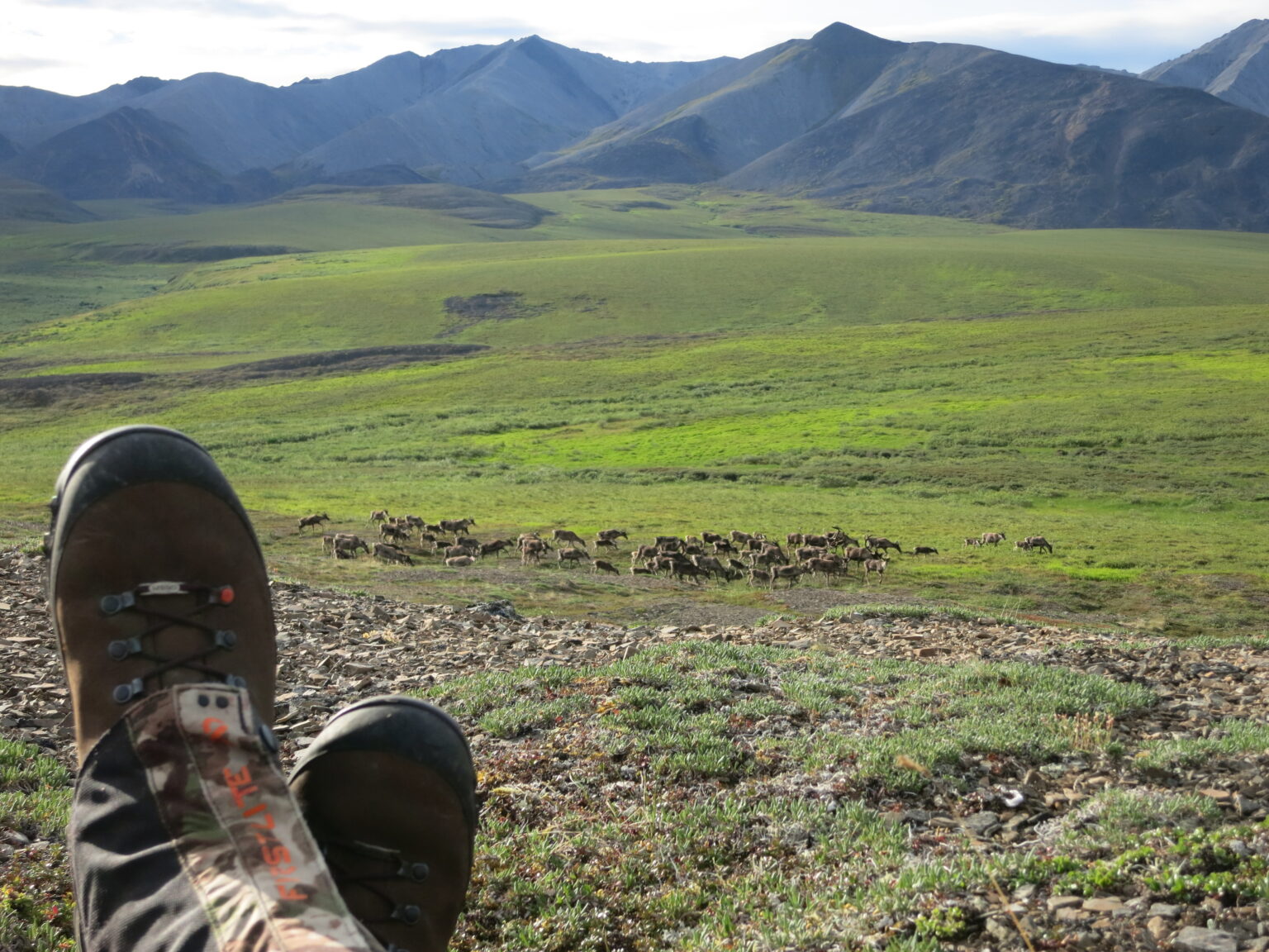 Brooks Range Voices Billy Molls Hunters & Anglers for the Brooks Range